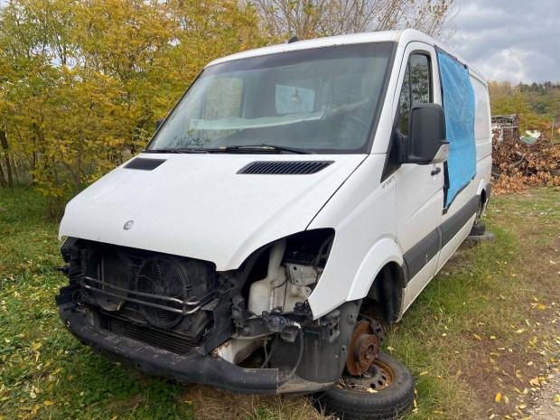 Mercedes Sprinter (906) OM651, 642 | 2006-tl gyrtott | Bonts