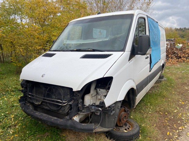 Mercedes Sprinter (906) OM651, 642 | 2006-tl gyrtott | Bonts