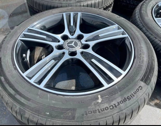 Mercedes  bicolor  17'