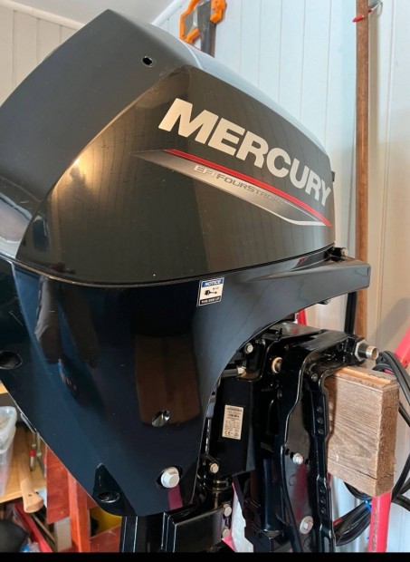 Mercury F 20 EPT EFI