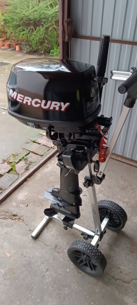 Mercury Four Stroke 6