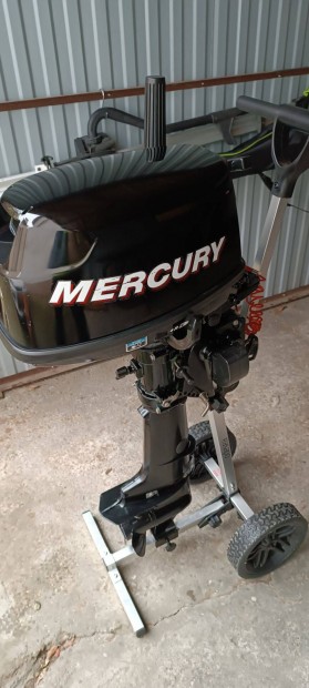 Mercury Four Stroke 6