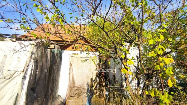 Mestersz�ll�si 50 nm-es h�z elad�