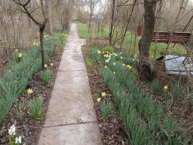 Mez�ber�ny Laposi kertekben elad� tet�teres h�tv�gi h�z (1267 m2)