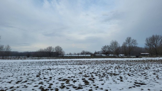 Mez�gazdas�gi f�ldter�let elad� Szank k�lter�let�n