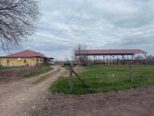 Mez�gazdas�gi telephely