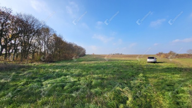 Mezkvesd frekventlt helyn 3 hektros sznt s erd elad!