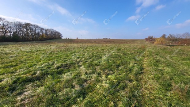 Mezőkövesden frekventált 3 hektáros építési telek szántó erdő eladó!