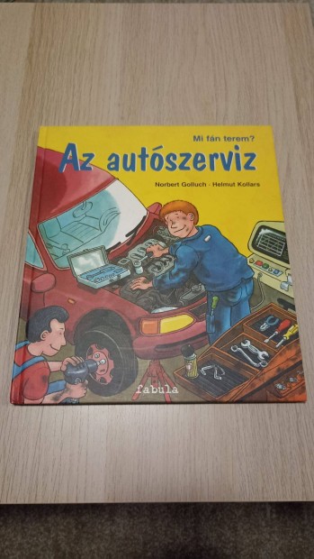 Mi fn terem? Az autszerviz - j llapot knyv