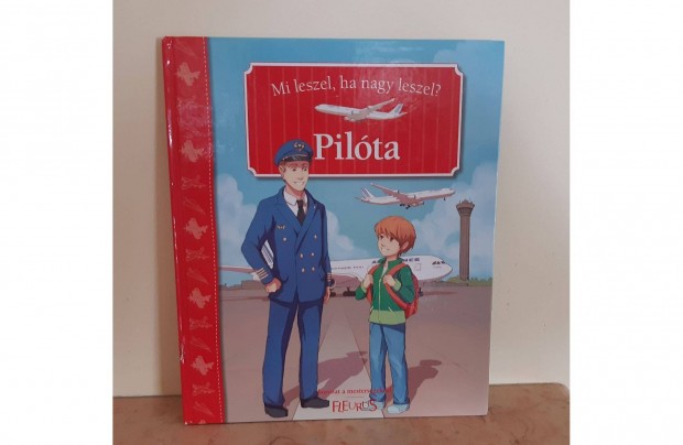 Mi leszel, ha nagy leszel? sorozat : Pilóta - ritkaság