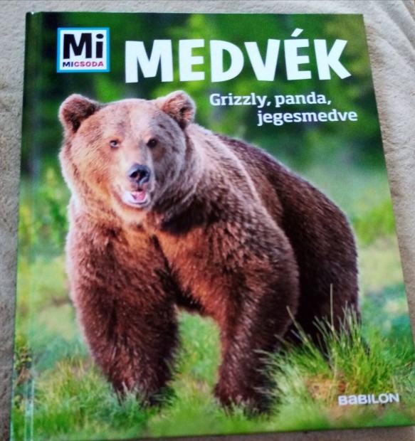 Mi micsoda: Medvk, Grizzly, panda, jegesmedve