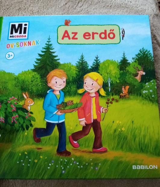 Mi micsoda ovisoknak: Az erd