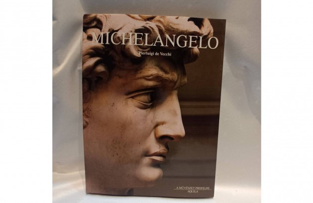 Michelangelo - Pierluigi de Vecchi (Mvszeti album)