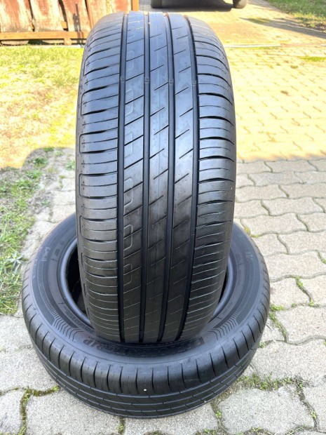Michelin Efficient Grip 215 55 R17 ny�ri gumi - 2db (6mm)