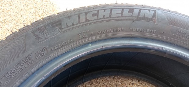 Michelin nyri gumi 