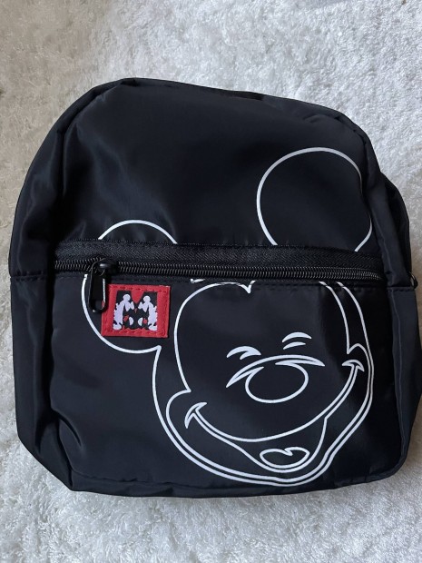 Mickey egr tska