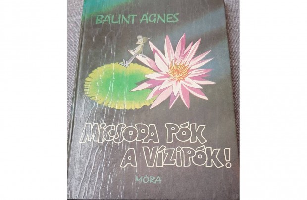 Micsoda pk a vzipk-Blint gnes 1985-s