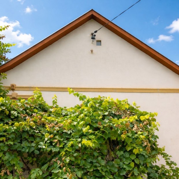 Mikep�rcsi elad� 67 nm-es h�z