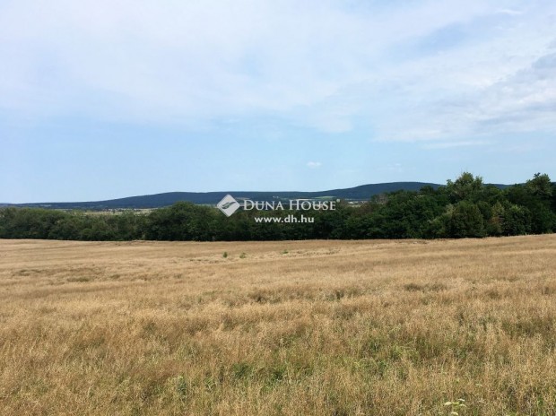 Mindszentk�llai elad� 3997 nm-es telek