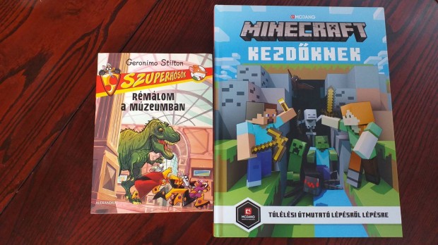 Minecraft kezdknek, Rmlom a mzeumban