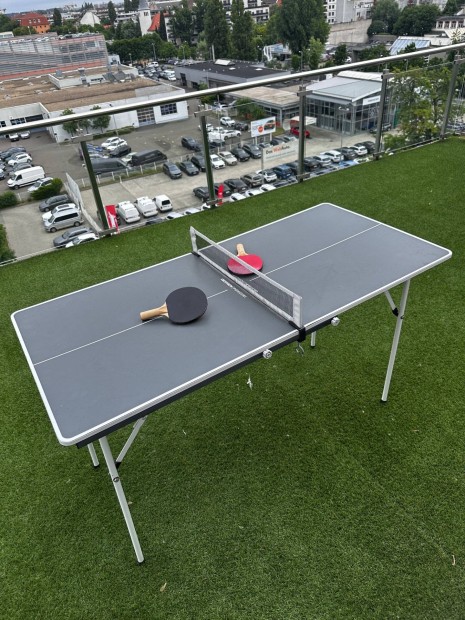 Mini ping-pong table