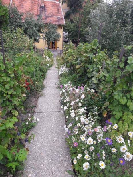 Miskolc Belv�rosi ingatlan 