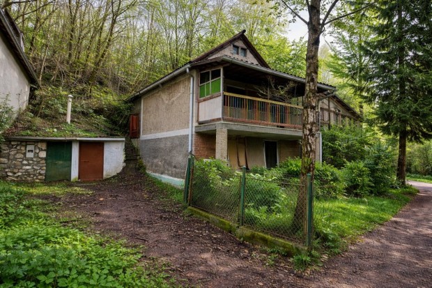 MiskolcTapolca szomsz�ds�g�ban, a Benedek-hegyi pincesoron k�n�lok