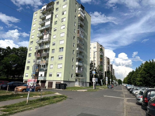 Miskolc Vologda utcban 46 m2-es panelprogramos fldszinti laks elad