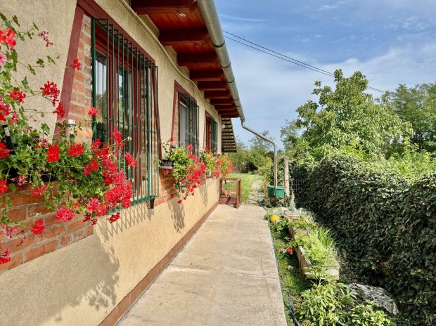 Miskolc, Kzpruzsin htvgi nyaral Elad!