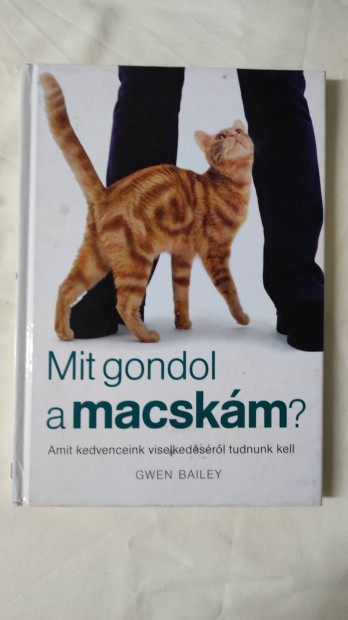 Mit gondol a macskm?