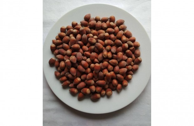 Mogyor hjas