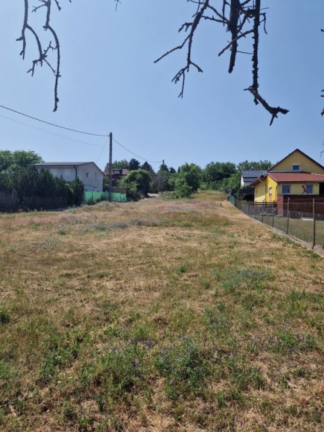 Mogyoród, Körte utca, 1630 m2-es, telek