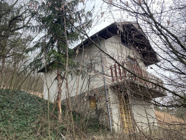 Mogyorósbányai eladó tégla családi ház