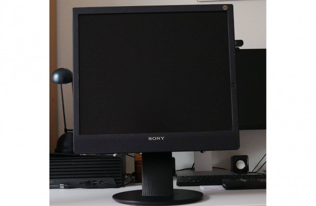 Monitor Sony SDM-X93