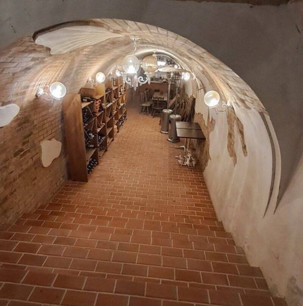 Monor Str�zsa-hegyen, boros pince vend�gl�t� egys�ggel, 8200 m2 telek