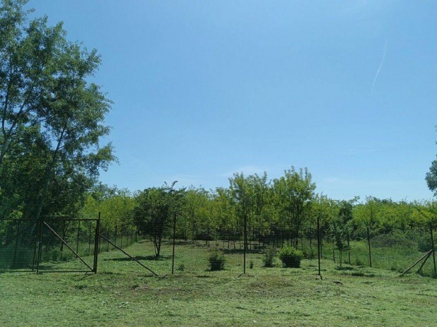 Monorierd�n, belter�leti, 580 m2-es, �p�t�si telek