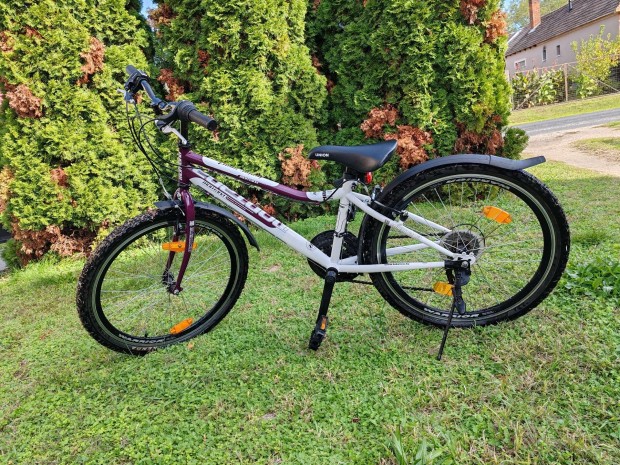 Montana professional mountain bikes bicikli junior sport 