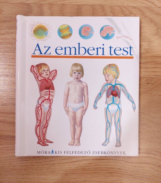 Mra Kis felfedez zsebknyvek: Az emberi test gyerek knyv