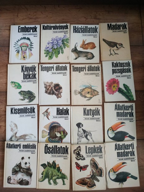 Mra kiad Bvr zsebknyvek 16 db 