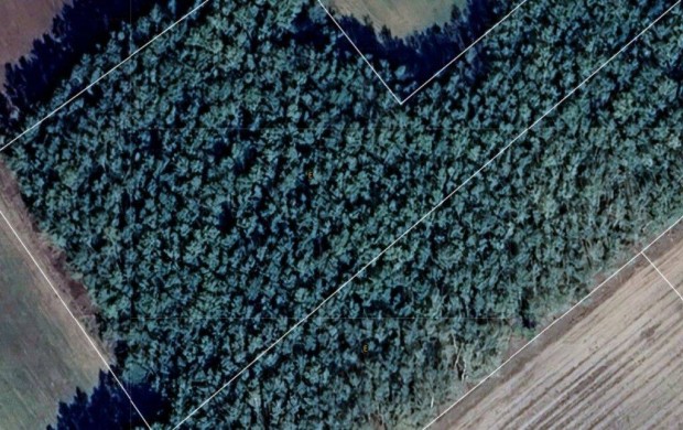 M�rahalmi erd�ter�letek, egyben �s k�l�n is elad�k