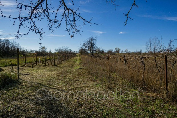 M�richida - 3900 m2-es telek elad�