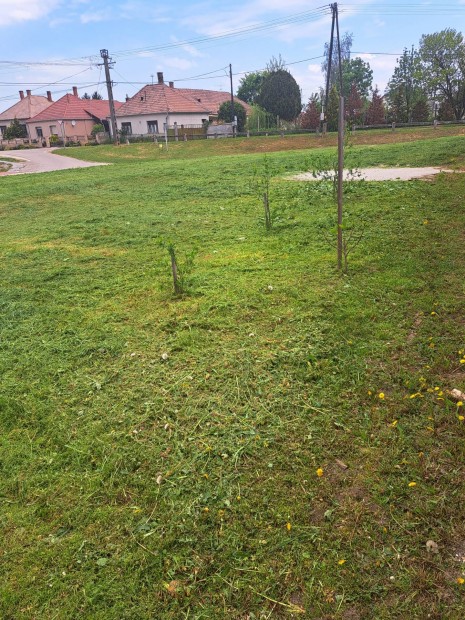 M�richid�n �pit�si telek elad�