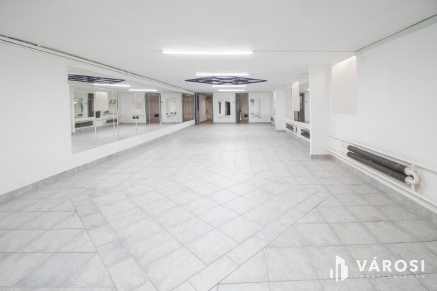 Mricz Zs. krtrtl 600 m-re 100 m2-es szutern zlet kiad