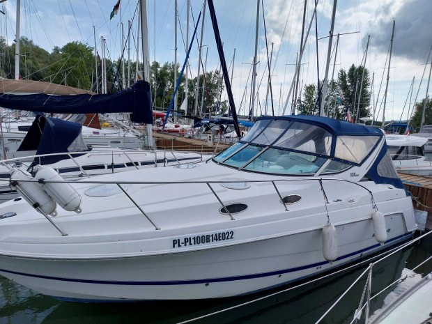Motoros haj, mini yacht