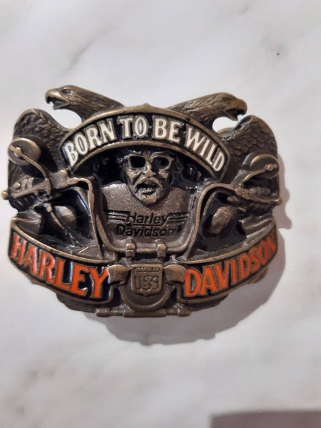 Motoros vcsat - Harley Davidson (Born to be wild)