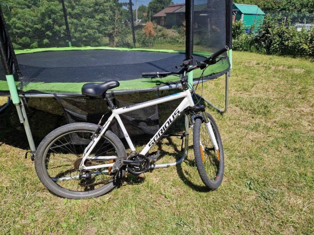 Mountain bike - Frfi bicikli