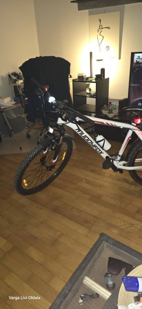 Mountain bike  kerkpr