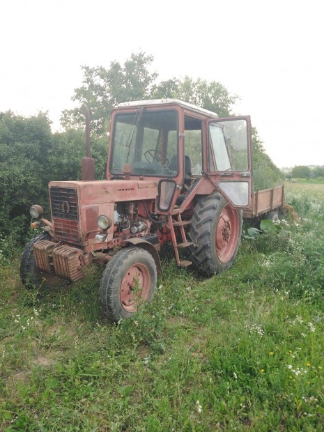 Mtz 80 panorma flks