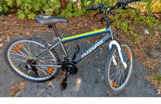 Muddyfox mountain bike