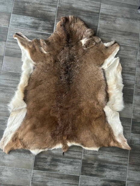 Muflon bőr, szőnyegnek vagy falra